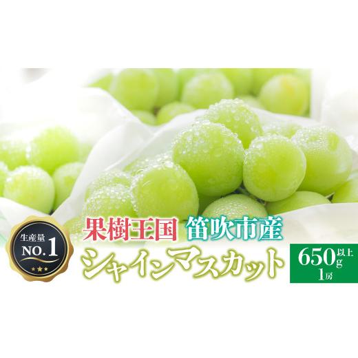 ふるさと納税 ぶどう マスカット 山梨県 笛吹市 26年発送 人気 シャインマスカット 650g以上 1房 沖縄県及び離島への配送はできませんので予めご了承ください…