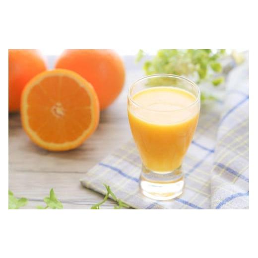 ふるさと納税 果汁飲料 みかん 和歌山県 高野町 みかんジュース1000ml×15本「ゆら絞り みかん」 安心。 お子さんにぜひ_2