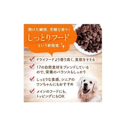 ふるさと納税 雑貨・日用品 熊本県 玉名市 馬肉芳醇づくり 80g × 10袋