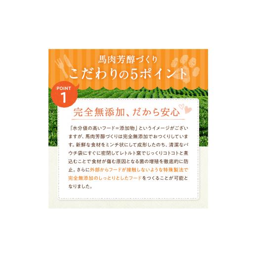 ふるさと納税 雑貨・日用品 熊本県 玉名市 馬肉芳醇づくり 80g × 10袋