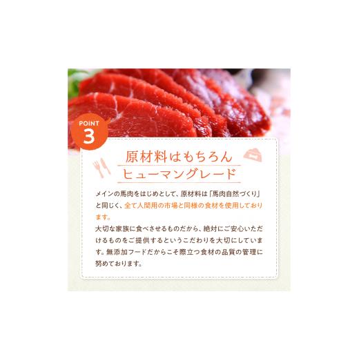 ふるさと納税 雑貨・日用品 熊本県 玉名市 馬肉芳醇づくり 80g × 10袋