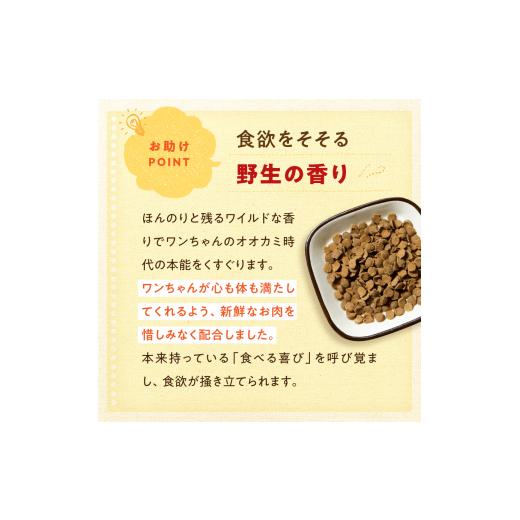 ふるさと納税 雑貨・日用品 熊本県 玉名市 馬肉自然づくり 1kg × 2袋