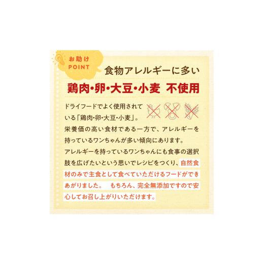 ふるさと納税 雑貨・日用品 熊本県 玉名市 馬肉自然づくり 1kg × 2袋