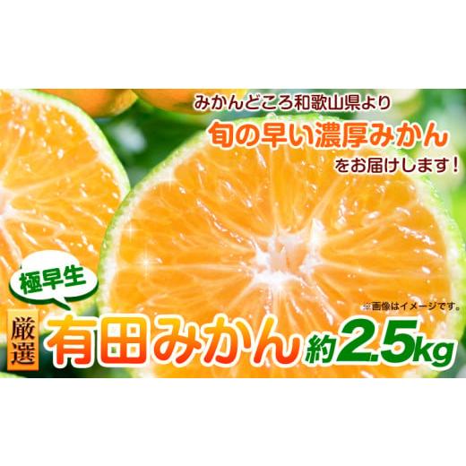 ふるさと納税 果物類 みかん 和歌山県 日高町 先行予約 厳選 極早生有田みかん2.5kg+250g(傷み補償分) YN26・ゆら早生 池田鹿蔵農園@日高町(池田農園株式…