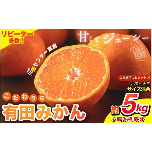 ふるさと納税 果物類 みかん 和歌山県 すさみ町 先行予約 2025年12月発送分 みかん 有田みかん 家庭用 こだわりの有田みかん 約5kg+250g(傷み補償分) サイズ…