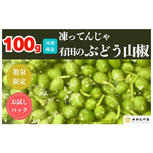 ふるさと納税 野菜類 薬味 和歌山県 有田川町 6月下旬出荷予定 冷凍山椒 凍ってんじゃ ぶどう山椒 100g 和歌山県産 みかんの会