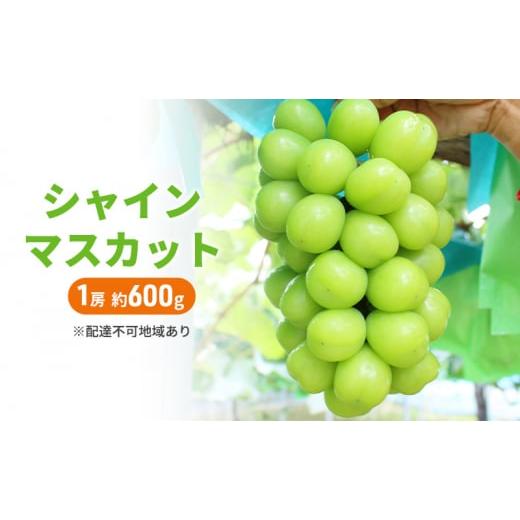 ふるさと納税 ぶどう マスカット 岡山県 里庄町 ぶどう 2026年 先行予約 シャインマスカット 1房 約600g ブドウ シャイン マスカット 葡萄 岡山 国産 フルーツ…