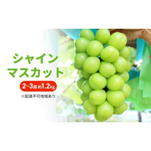 ふるさと納税 ぶどう マスカット 岡山県 里庄町 ぶどう 2026年 先行予約 シャインマスカット 2〜3房 約1.2kg ブドウ シャイン マスカット 葡萄 岡山 国産 フル…