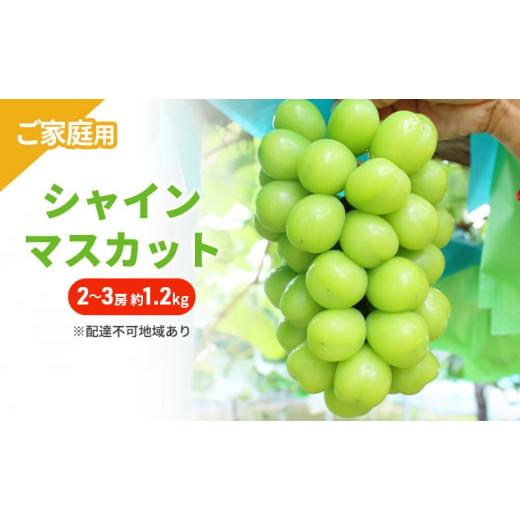 ふるさと納税 ぶどう マスカット 岡山県 里庄町 ぶどう 2026年 先行予約 ご家庭用 シャインマスカット 2〜3房 約1.2kg ブドウ シャイン マスカット 葡萄 岡山 …