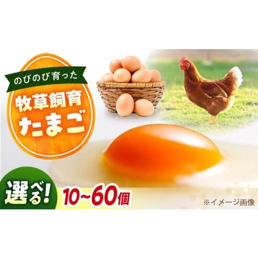 ふるさと納税 卵(鶏、烏骨鶏等) 広島県 福山市 卵 天心山 たまご 選べる個数 20個入り 卵 たまご 高級 食品 たまごかけご飯 卵かけご飯 卵焼き 生卵 濃厚 ケ…