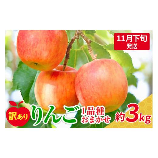 ふるさと納税 りんご 青森県 五所川原市 2025年11月下旬発送 おまかせ 訳ありりんご 約 3kg (7〜12個程度) 青森 |選べる配送時期| りんご 青森 五所川原 3k…