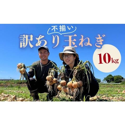 ふるさと納税 野菜類 玉ねぎ 福島県 鏡石町 《先行予約》 2026年発送 訳アリ うまみたっぷり 不揃い 玉ねぎ 10kg たまねぎ タマネギ 玉葱 野菜 訳あり ワケア…の画像