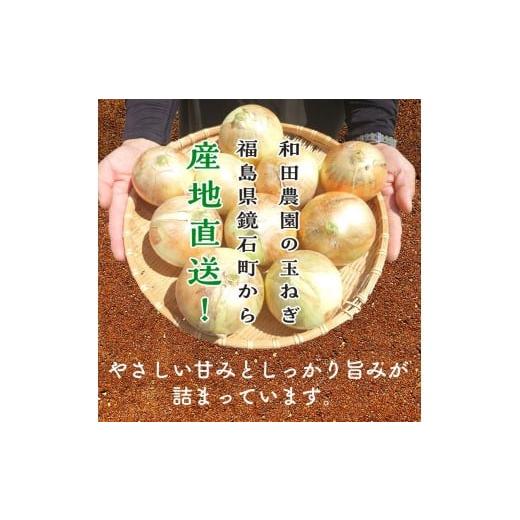 ふるさと納税 野菜類 玉ねぎ 福島県 鏡石町 《先行予約》 2026年発送 訳アリ うまみたっぷり 不揃い 玉ねぎ 10kg たまねぎ タマネギ 玉葱 野菜 訳あり ワケア…の画像