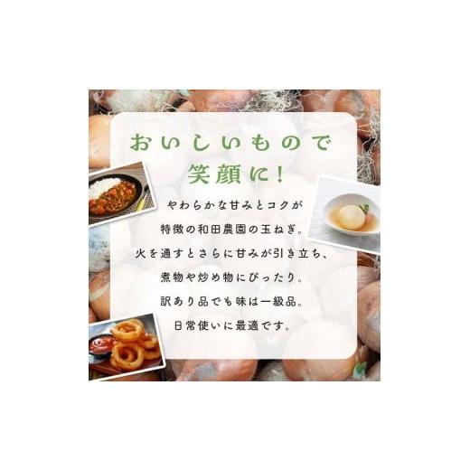ふるさと納税 野菜類 玉ねぎ 福島県 鏡石町 《先行予約》 2026年発送 訳アリ うまみたっぷり 不揃い 玉ねぎ 10kg たまねぎ タマネギ 玉葱 野菜 訳あり ワケア…の画像