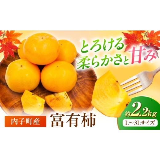 ふるさと納税 果物類 柿 愛媛県 内子町 富有柿 2.2kg みきゃん箱 北海道・沖縄配送不可 / 甘柿 柿 かき カキ 果物 フルーツ 国産 産地直送 人気 おすすめ 送…