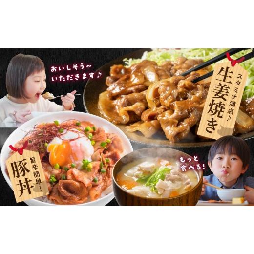 ふるさと納税 豚肉 宮崎県 都城市 国産豚肉切り落とし5Kg(うま味加工)_MJ-3647_(都城市) 国産豚 切り落とし 250g×20袋 うま味加工 昆布だし 豚肉 旨味 冷凍 … |  | 05