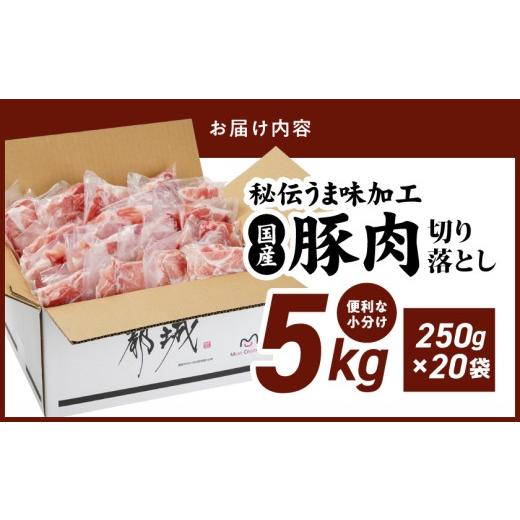 ふるさと納税 豚肉 宮崎県 都城市 国産豚肉切り落とし5Kg(うま味加工)_MJ-3647_(都城市) 国産豚 切り落とし 250g×20袋 うま味加工 昆布だし 豚肉 旨味 冷凍 … |  | 06
