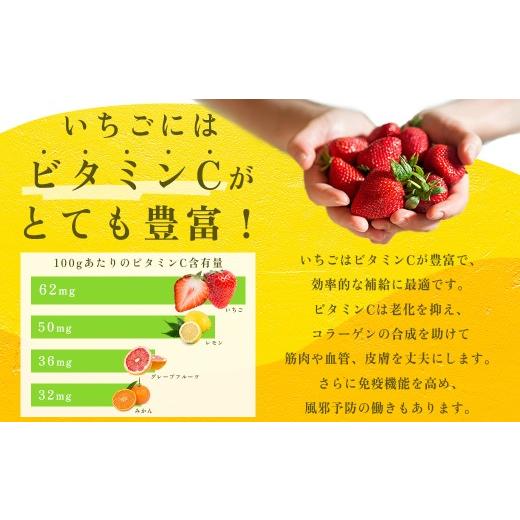 ふるさと納税 いちご 福岡県 赤村 先行予約／2027年出荷 福岡県産