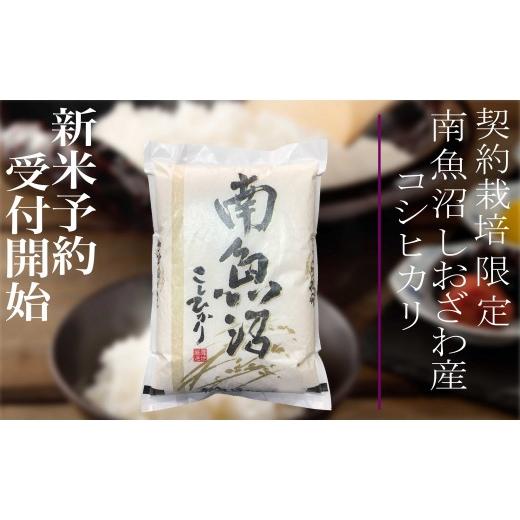 ふるさと納税 米 コシヒカリ 新潟県 南魚沼市  令和8年産 新米予約 定期便6ヶ月：精米2Kg 契約栽培限定 南魚沼しおざわ産コシヒカリ 2026年10月上旬から1ヶ月…の画像