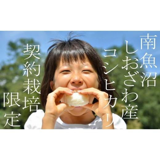 ふるさと納税 米 コシヒカリ 新潟県 南魚沼市  令和8年産 新米予約 定期便6ヶ月：精米2Kg 契約栽培限定 南魚沼しおざわ産コシヒカリ 2026年10月上旬から1ヶ月…の画像