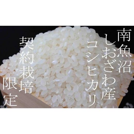 ふるさと納税 米 コシヒカリ 新潟県 南魚沼市  令和8年産 新米予約 定期便6ヶ月：精米2Kg 契約栽培限定 南魚沼しおざわ産コシヒカリ 2026年10月上旬から1ヶ月…の画像