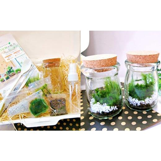 ふるさと納税 雑貨・日用品 インテリア 静岡県 菊川市 D:飾り砂(ブルー系)×1袋 おうちで作ろう 苔テラリウム 手づくりキット 小瓶 選べるアイテム おうち…