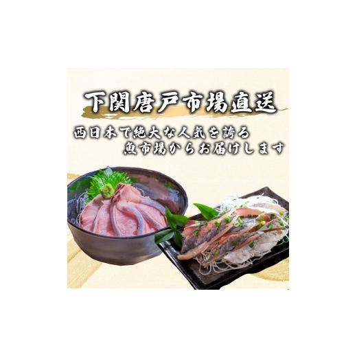 ふるさと納税 マグロ 山口県 下関市 定期便 年12回 毎月 唐戸市場直送 高級お刺身 各2人前 ( 高級 鮮魚 魚介 冷凍 小分け 刺身 お手軽 とらふぐ ふぐ トラフグ…_3