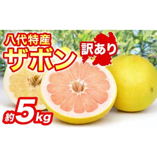 ふるさと納税 みかん・柑橘類 熊本県 八代市 先行予約 訳あり 八代ザボン (赤肉または白肉) 約5kg (3〜6玉) 果物 くだもの 果汁 柑橘 おやつ フルーツ デザー…