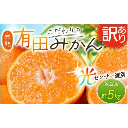 ふるさと納税 果物類 みかん 和歌山県 太地町 訳あり 農家直送 有田みかん 約5kg ご家庭用 サイズ混合 2025年11月中旬より順次発送予定(お届け日指定不可) …