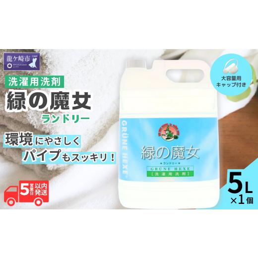 ハイジア　洗濯洗剤　セット HYGIA ハイジア 洗濯用液体洗剤 1.8倍 660ml 2個セット ハイジア HYGIA