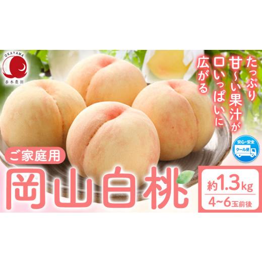 ふるさと納税 もも 岡山県 浅口市 桃 もも 2026年先行予約 ご家庭用 岡山白桃 約1.3kg (4~6玉前後) 赤木農園 [2026年7月上旬-8月上旬頃出荷] 岡山県 浅口市 …