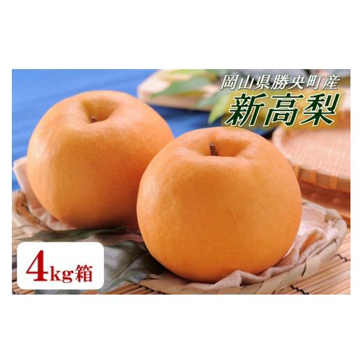 ふるさと納税 梨 岡山県 勝央町 岡山県 勝央町産 新高梨 4kg箱(4〜5玉) 10月中旬から11月上旬発送 _A20