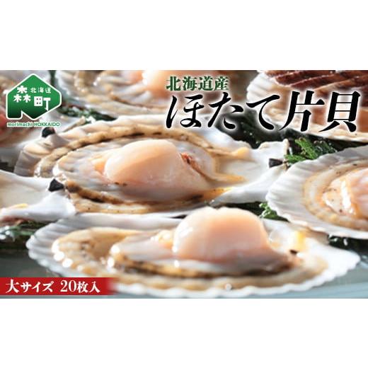 ふるさと納税 魚貝類 ホタテ 北海道 森町 北海道産 ほたて片貝 大サイズ(20枚入) ワイエスフーズ 森町 ほたて 帆立 ホタテ 海産物 魚貝類 ふるさと納税 北海道…