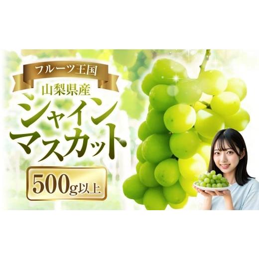 ふるさと納税 ぶどう マスカット 山梨県 中央市 シャインマスカット 1房 500g以上 マスカット ぶどう ブドウ 葡萄 くだもの 果物 フルーツ 種なし 山梨県 中央…