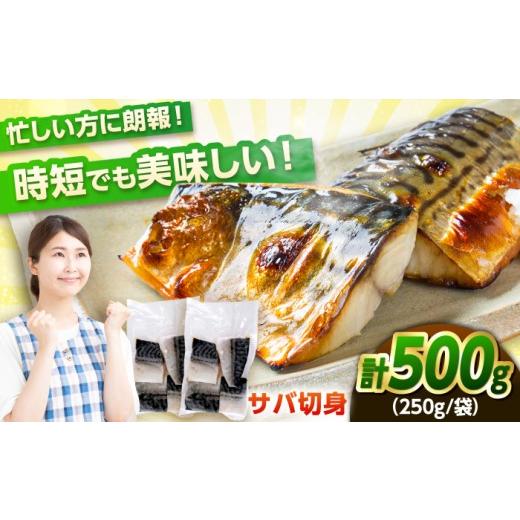 ふるさと納税 魚貝類 福井県 小浜市 ノルウェー産 塩サバ 切り身 500g(250g×2袋) 若狭小浜加工 あえて骨付き 鯖 さば サバ 小浜市 / まるほ商店 配送不可…