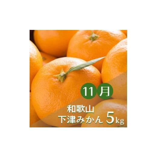ふるさと納税 果物類 みかん 和歌山県 北山村  3か月定期便 みかんの名産地和歌山発 秋のみかん定期便 ゆら早生みかん・下津みかん・有田みかん tkb362_3