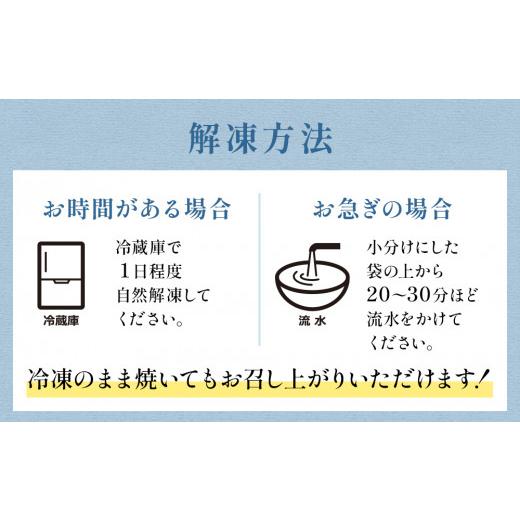 ふるさと納税 魚貝類 鮭 宮城県 石巻市 訳あり 鮭 切り身 3kg 大容量 銀鮭 塩鮭 冷凍 切身 肉厚 宮城東洋 宮城県 石巻 石巻市 さけ サケ 鮭切身 シャケ しゃ…_7