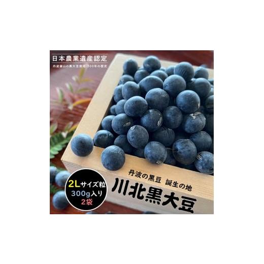 ふるさと納税 豆類 大豆 兵庫県 丹波篠山市 新物 令和7年産 令和7年12月中旬以降発送 川北黒大豆 2Lサイズ粒 300g×2袋 兵庫県 丹波篠山市 乾物 黒豆 丹…