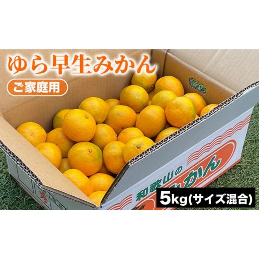 ふるさと納税 果物類 みかん 和歌山県 美浜町 ご家庭用 ゆら早生みかん (サイズ混合) 5kg | みかん 柑橘 和歌山 ミカン ゆら早生 早生 早生みかん 家庭用 フル…