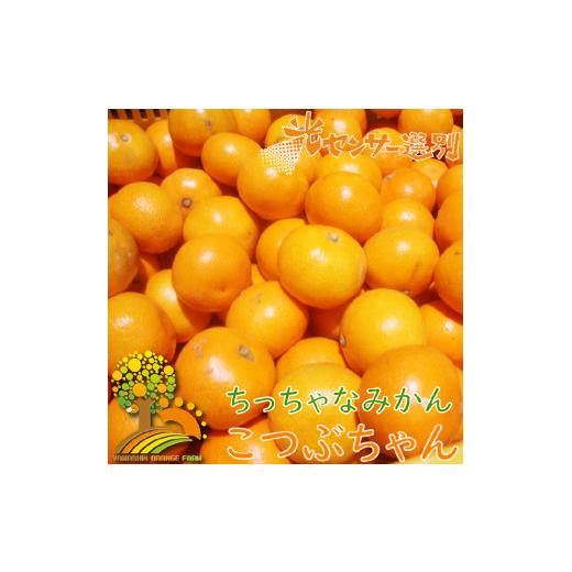 ふるさと納税 果物類 みかん 和歌山県 美浜町 ちっちゃな 有田みかん こつぶみかん 5kg (3S〜2Sサイズ混合)| 小粒 光センサー選別 温州みかん みかん 柑橘 …