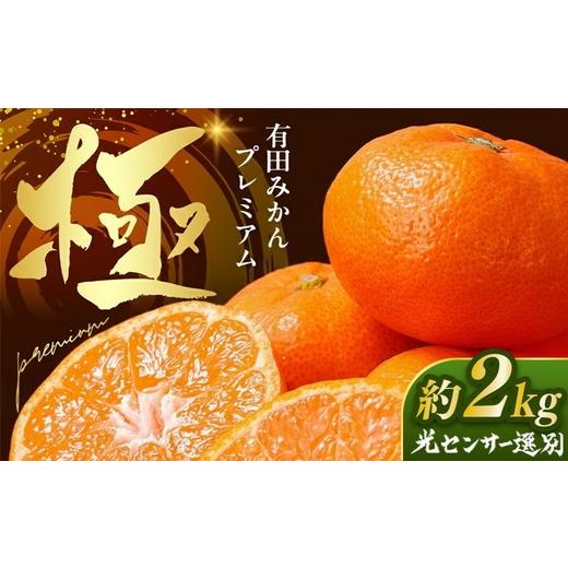 ふるさと納税 果物類 みかん 和歌山県 美浜町 ＼光センサー選別/極 有田みかんプレミアム 約2kg 光センサー 高糖度選別品 2S〜Lの小玉サイズ 有機質肥料100% …