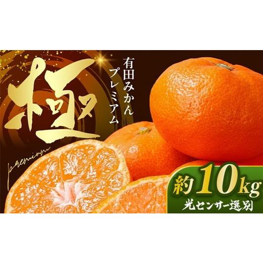 ふるさと納税 果物類 みかん 和歌山県 美浜町 ＼光センサー選別/極 有田みかんプレミアム 約10kg 光センサー 高糖度選別品 2S〜Lの小玉サイズ 有機質肥料100%…