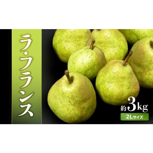ふるさと納税 梨 山形県 大江町 [先行受付]ラフランス 約3kg(2Lサイズ 8〜9玉) 2026年11月上旬より順次発送予定 022-008