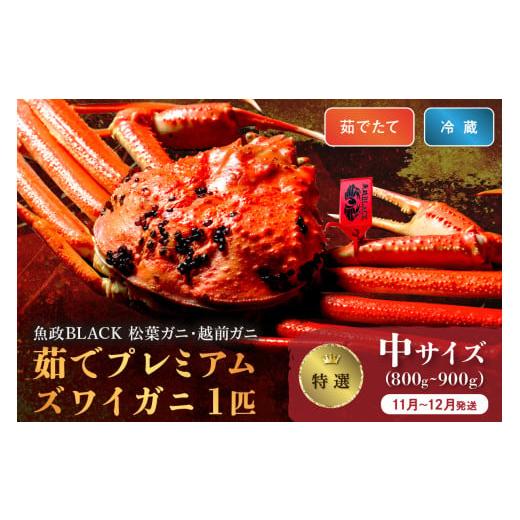 ふるさと納税 カニ 松葉ガニ 京都府 京丹後市 11月〜12月発送 土日祝着 蟹の匠 魚政 茹で プレミアムズワイガニ 魚政BLACK(松葉ガニ・越前ガニ)特撰 中サイ…