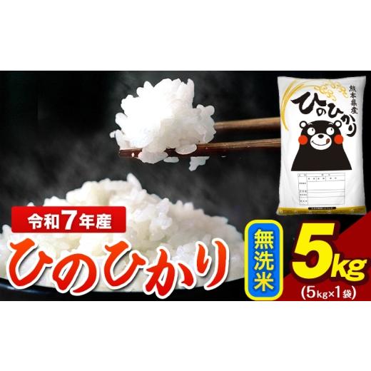 ふるさと納税 米 ヒノヒカリ 熊本県 荒尾市 令和7年産 ひのひかり 無洗米 5kg 5kg×1袋 熊本県産(荒尾市産含む) [7-14日以内に出荷予定(土日祝除く)]米 …