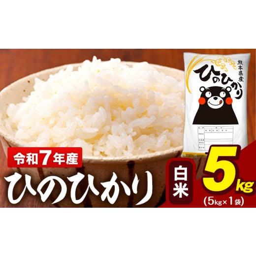 ふるさと納税 米 ヒノヒカリ 熊本県 大津町 令和7年産 白米 米 ひのひかり 5kg[7-14日以内に出荷予定(土日祝除く)]熊本県 大津町 国産 熊本県産 白米 精米 …