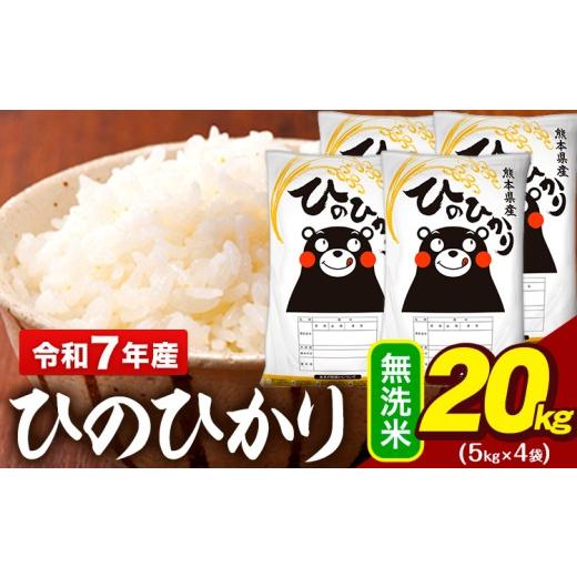 ふるさと納税 米 ヒノヒカリ 熊本県 大津町 令和7年産 無洗米 ひの