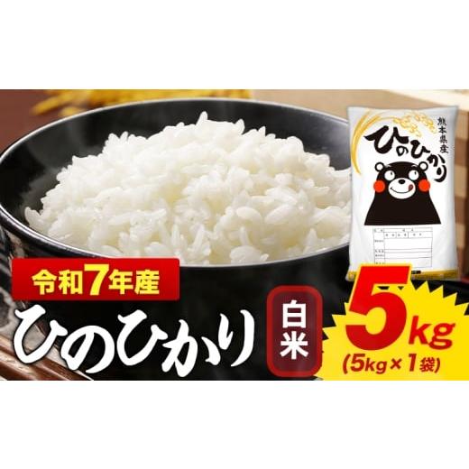 ふるさと納税 米 ヒノヒカリ 熊本県 御船町 白米 ひのひかり 5kg 令和7年産 熊本県産 ふるさと納税 白米 精米 ひの 米 こめ ふるさとのうぜい ヒノヒカリ コメ…