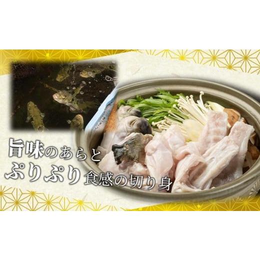 ふるさと納税 フグ 山口県 周南市 ふぐ料理専門店 『栄ふく』 国産 天然 とらふぐフルコース（5〜6人前）青磁皿33cm付の画像