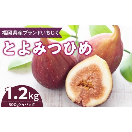 ふるさと納税 いちじく 福岡県 久留米市 福岡県産 いちじく とよみつひめ 1.2kg_Fx013
